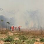 INCÊNDIO ÁREA DE MATAGAL PRÓXIMO AO PARQUE DE BARREIRAS